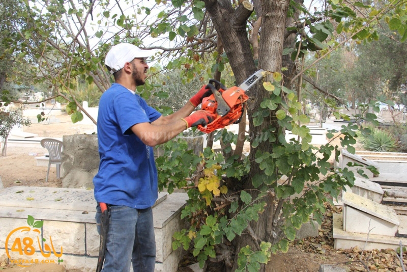 tasoooi3i1412 (48).JPG